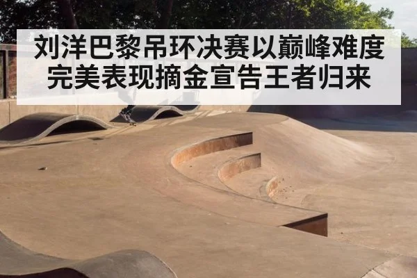 刘洋巴黎吊环决赛以巅峰难度完美表现摘金宣告王者归来