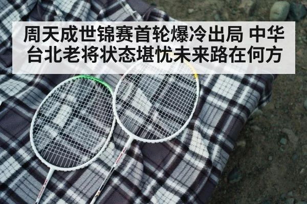 badminton racket closeup