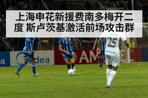 上海申花新援费南多梅开二度 斯卢茨基激活前场攻击群